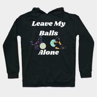 Leave my balls alone Hoodie